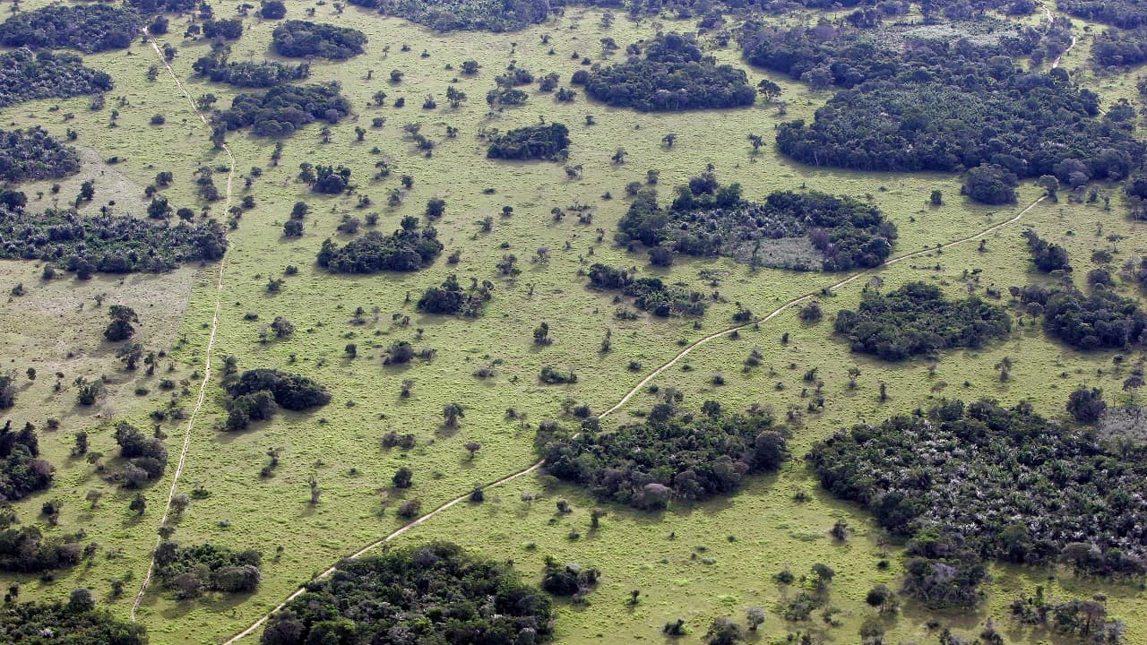 2021, el año que reactivó la ambición medioambiental