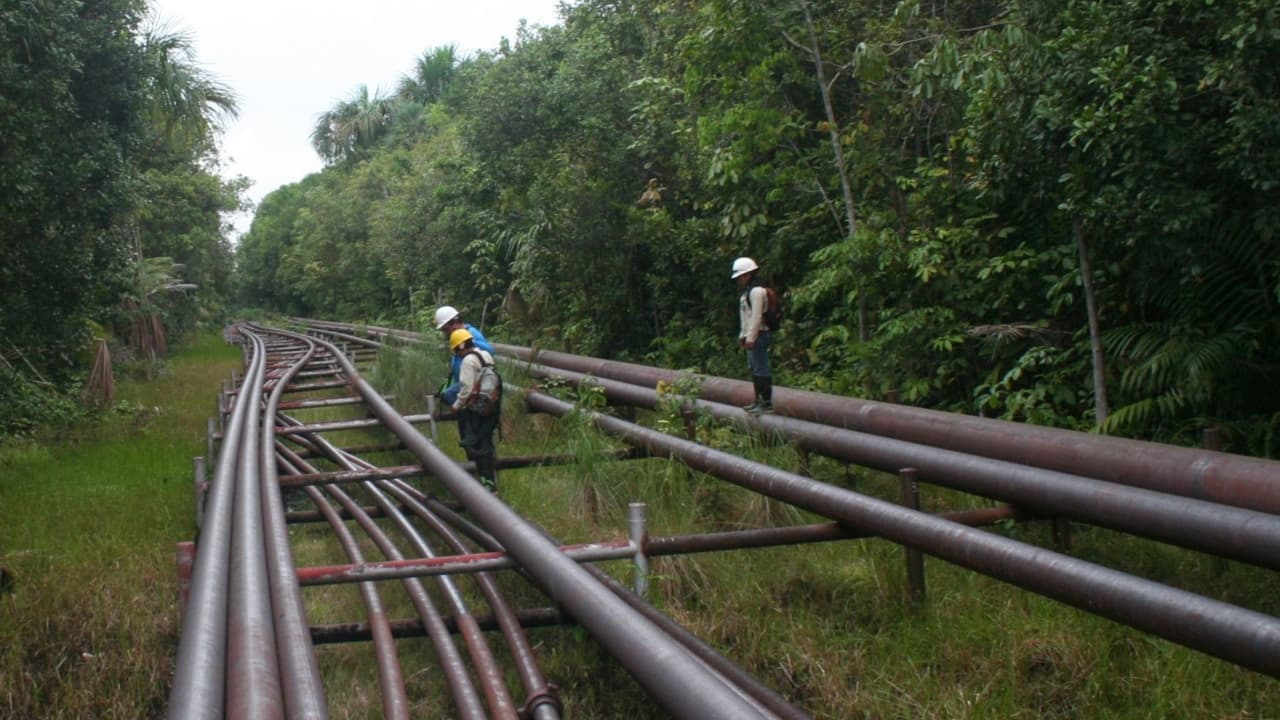 Nuevo derrame de petróleo en la Amazonía peruana