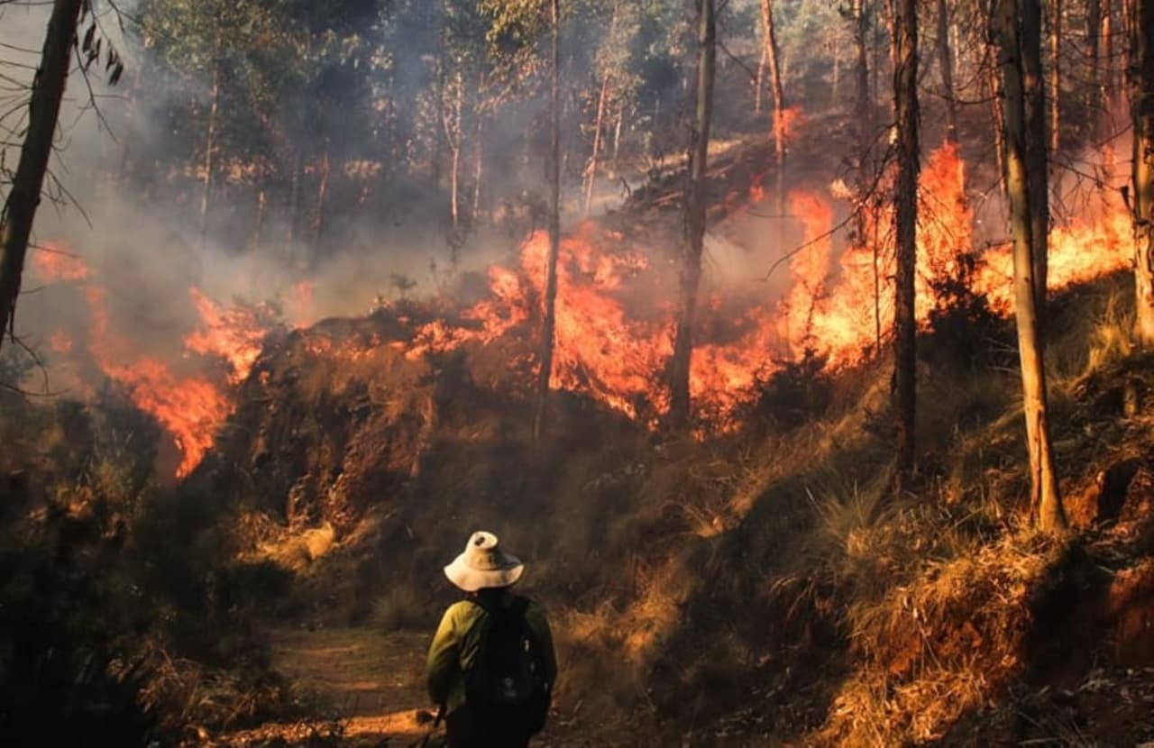 Cambio climático jugó un papel en pérdidas aseguradas por US$130.000 millones el año pasado, estima AON