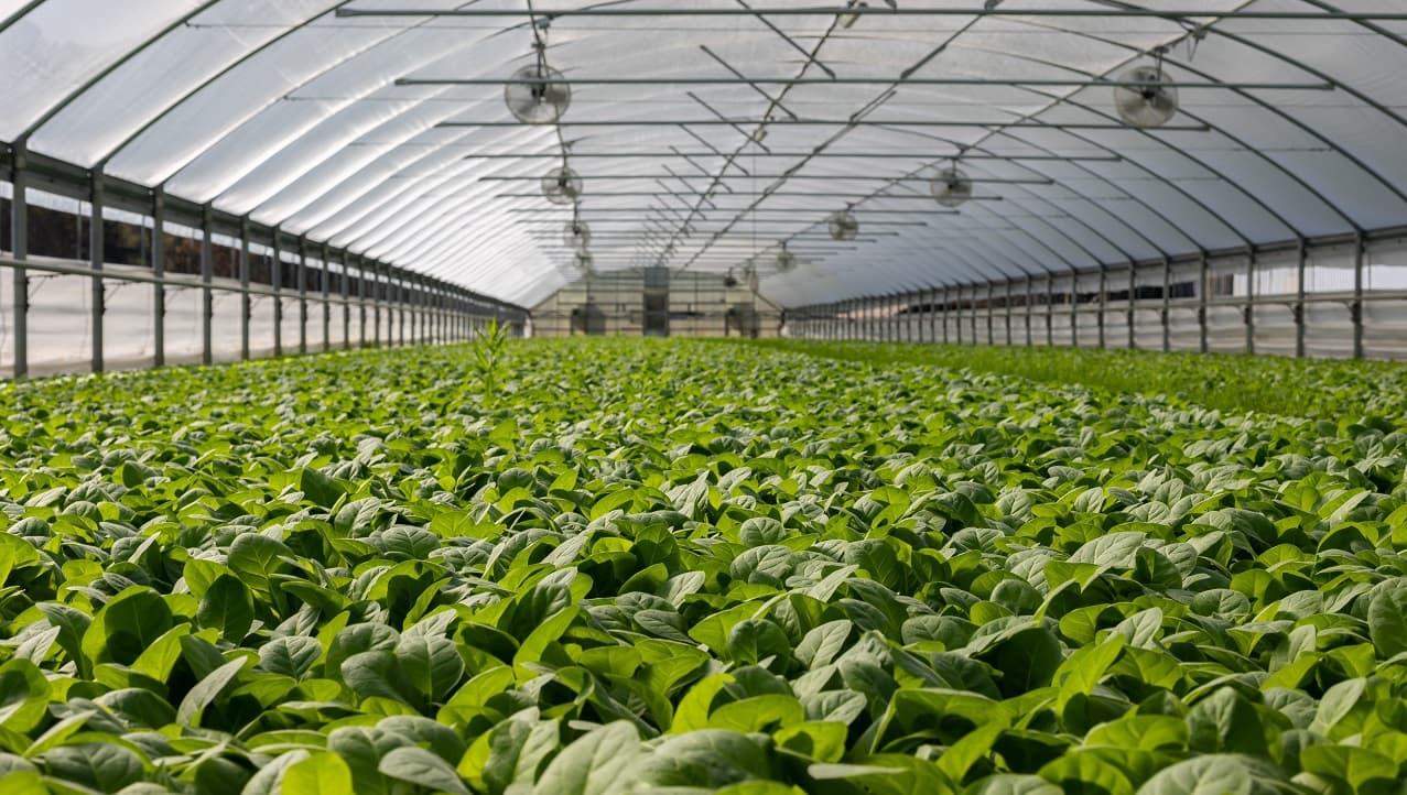 Fondo internacional se propone recaudar US$8.000 millones para innovación agrícola