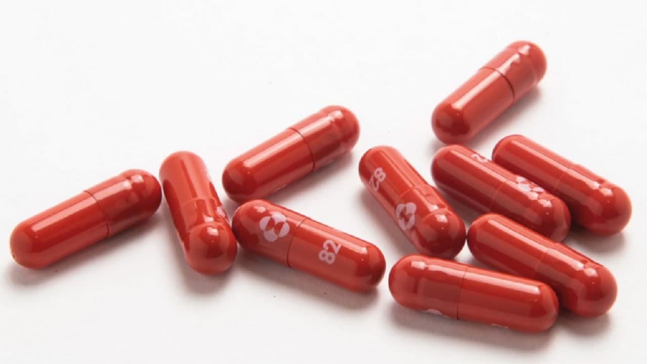 OMS da luz verde al molnupiravir, primer tratamiento oral contra Covid-19