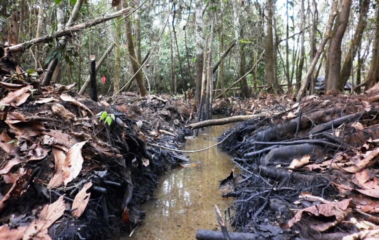 Derrame en Loreto: Gobierno ampliará emergencia ambiental en zona afectada