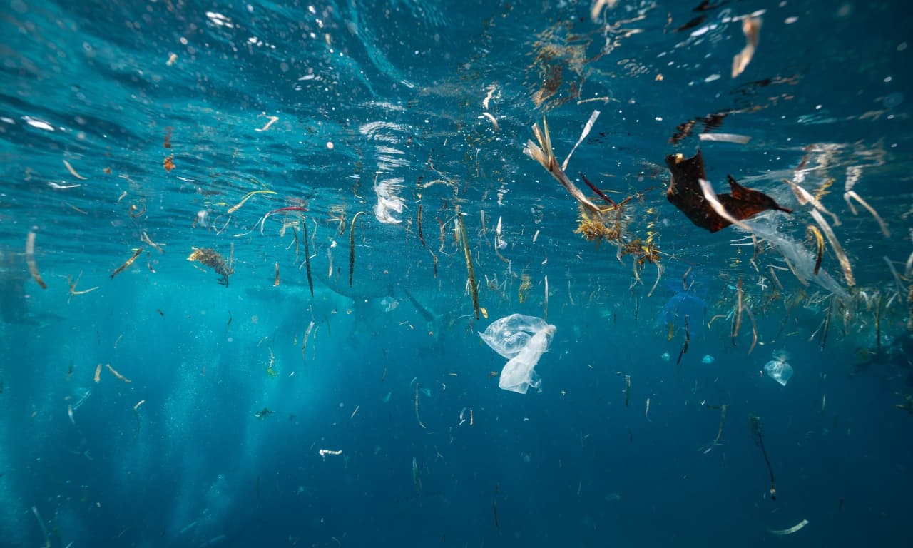 ONU negociará el primer tratado global contra la contaminación generada por el plástico
