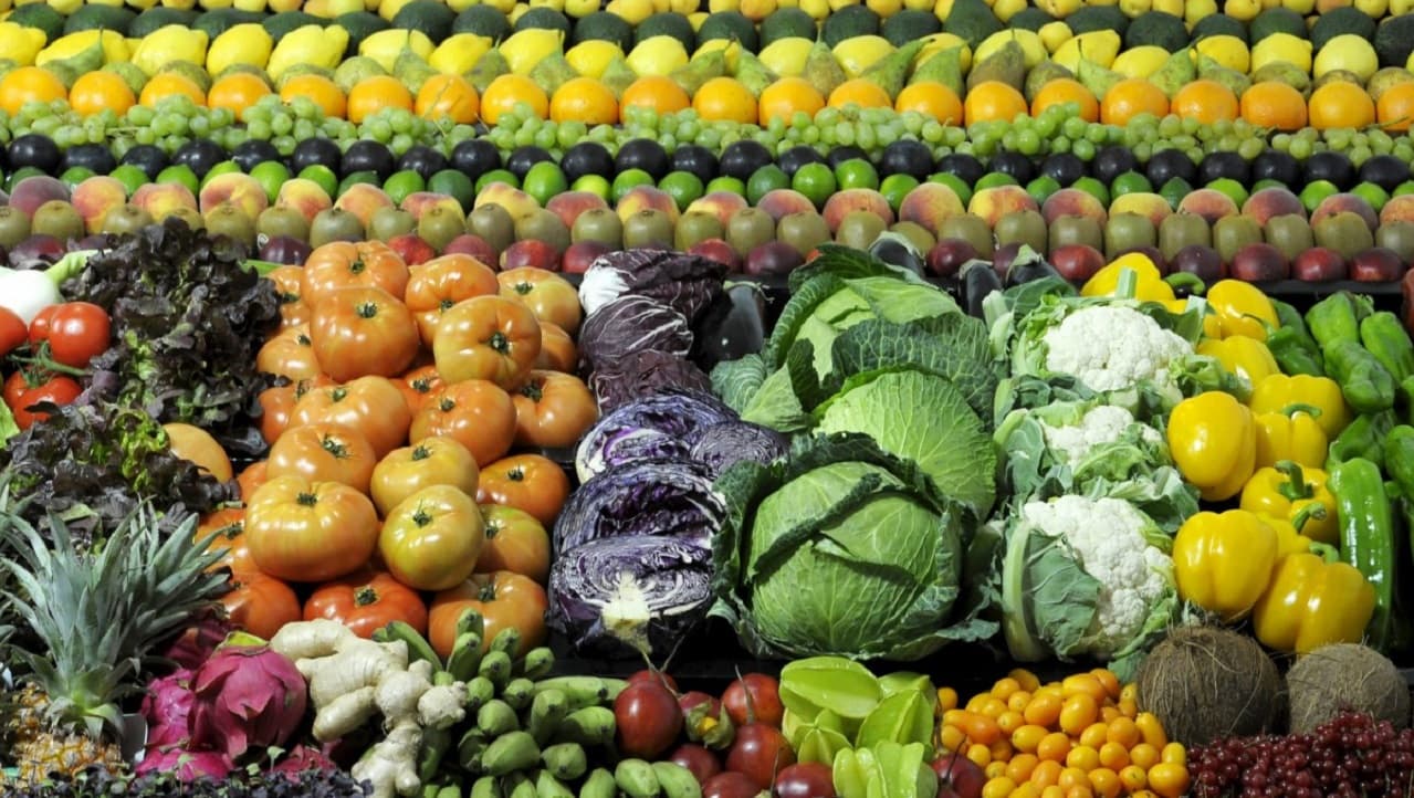 La actual crisis alimentaria puede ser una catástrofe en 2023, avisa la ONU
