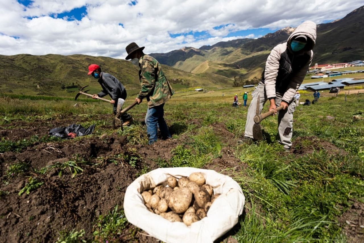 Gobierno flexibiliza acceso a créditos a agricultores con deudas vencidas