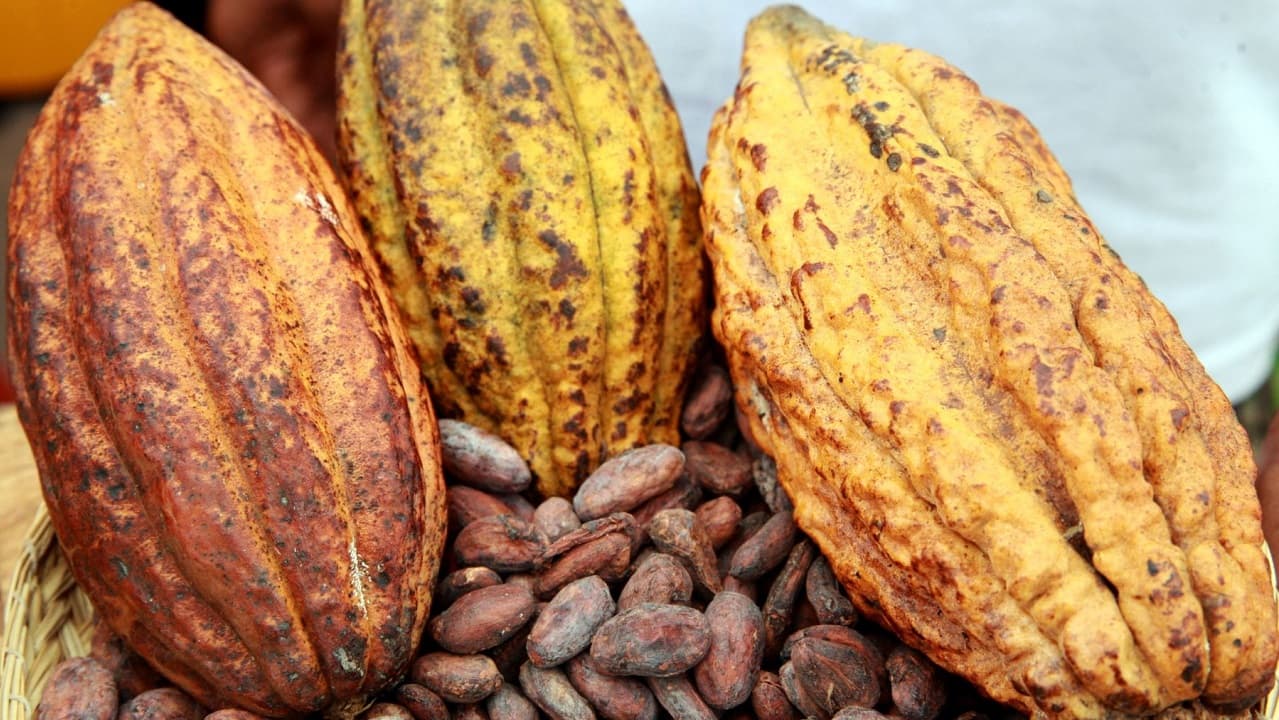 Exportaciones agropecuarias crecieron 8,1% en mayo, según el BCRP