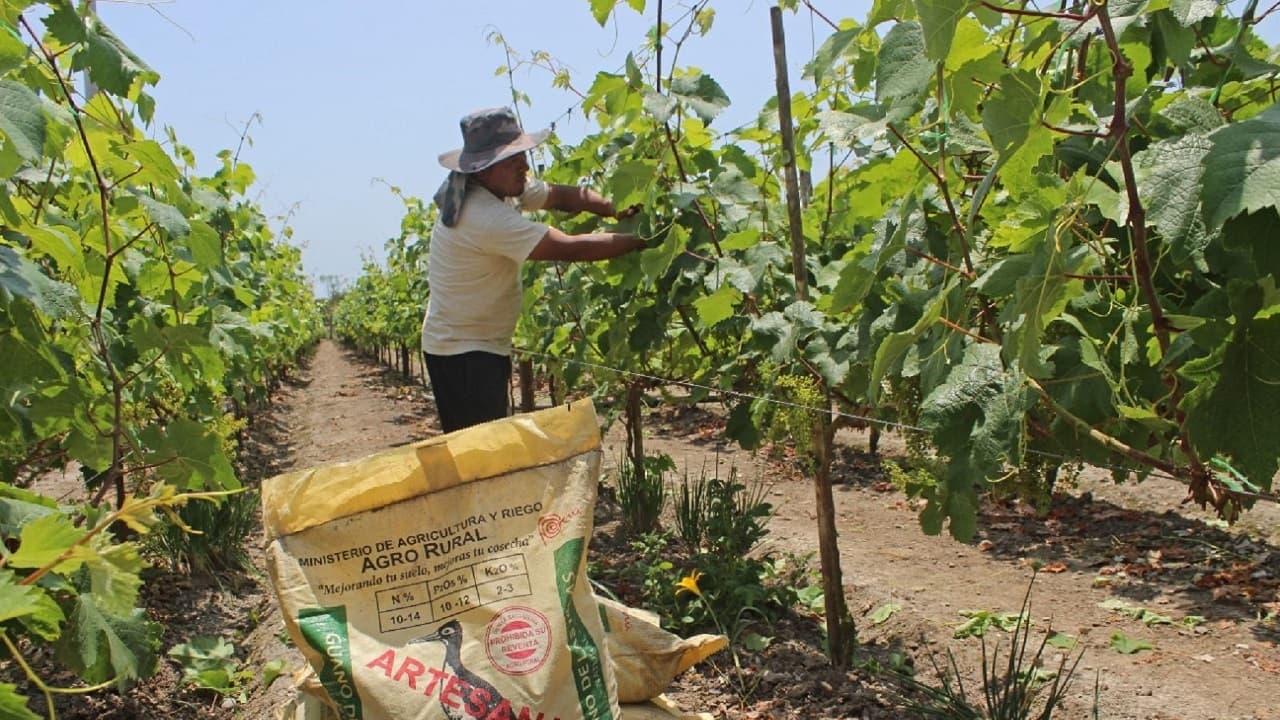 Gobierno peruano autoriza adquisición de urea por 88 millones de dólares