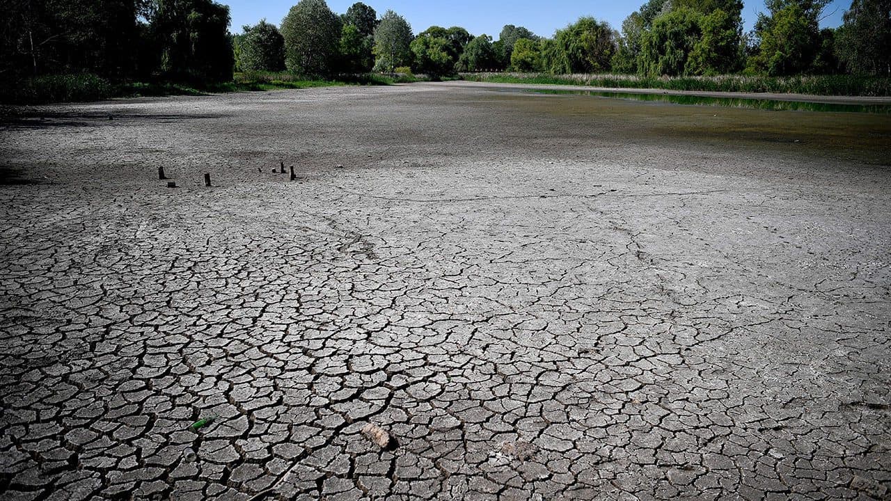 64% de Europa, gravemente afectada por la peor sequía en 500 años