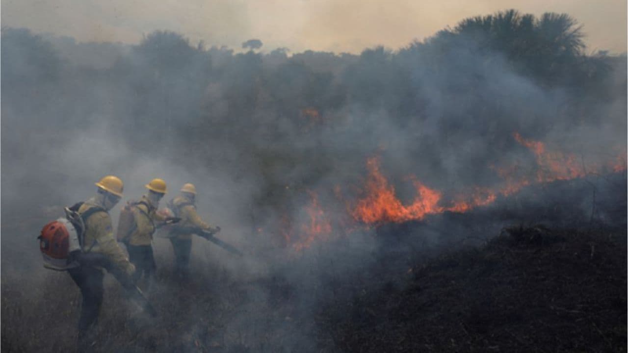 os incendios forestales en la selva del en Brasil batieron un triste récord: fueron los más importantes de la década. (Foto: Reuters)