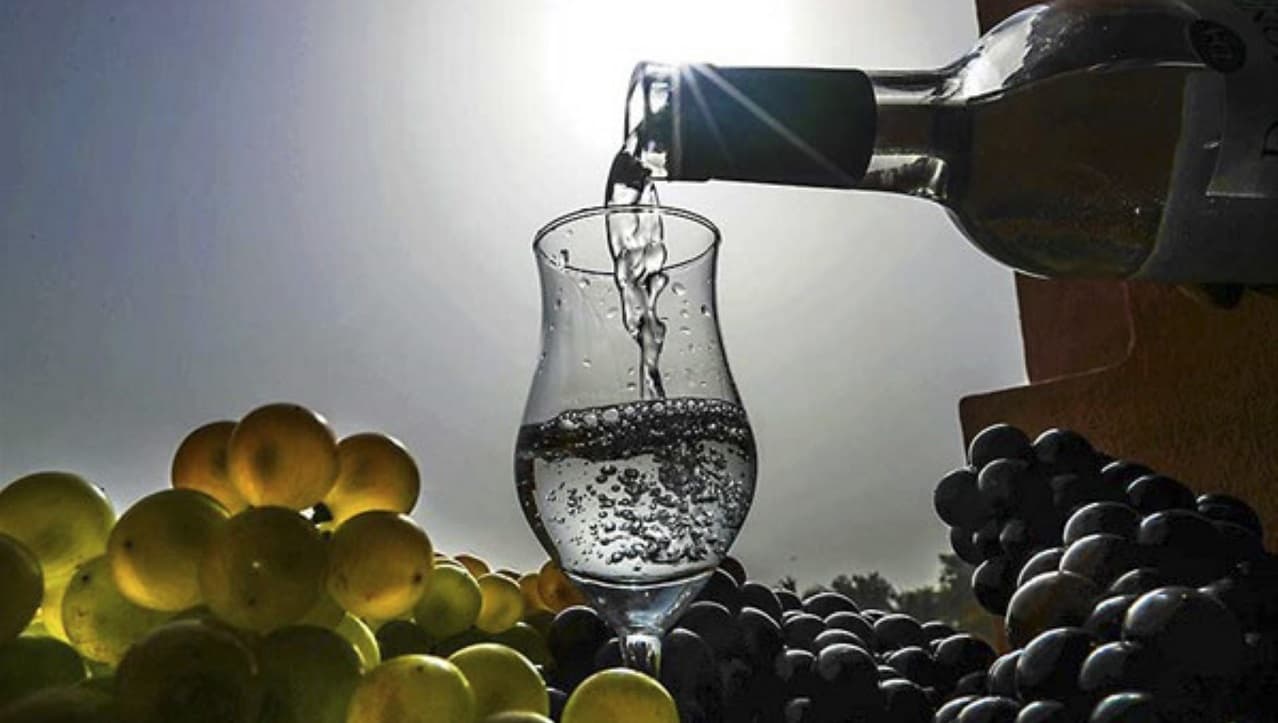 Exportación de pisco ascendió a US$4,6 millones en el primer semestre del 2022, según ADEX