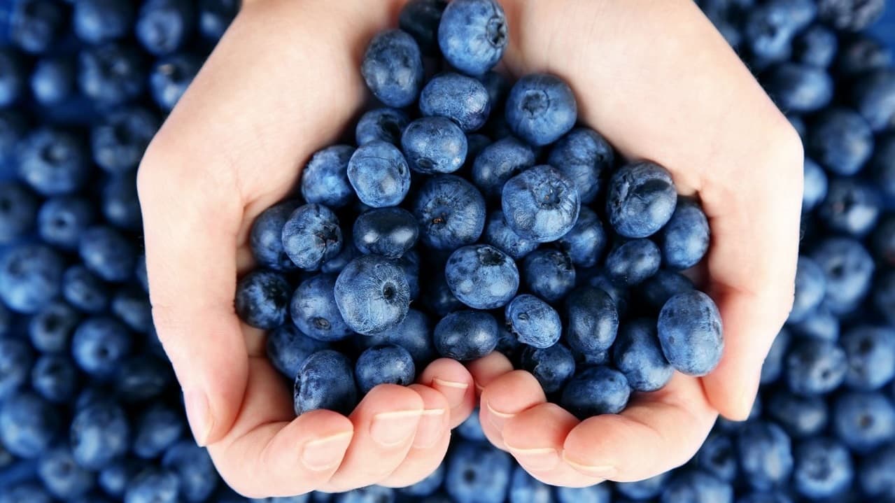 Producción agrícola para exportación creció 18,1% en octubre pasado, según BCRP
