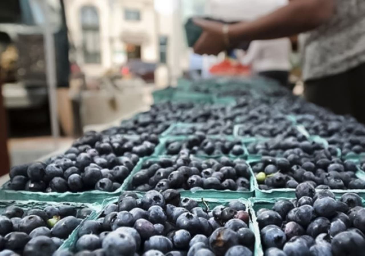 Agroexportaciones siguen creciendo: sumaron US$ 5.018 millones hasta agosto pasado