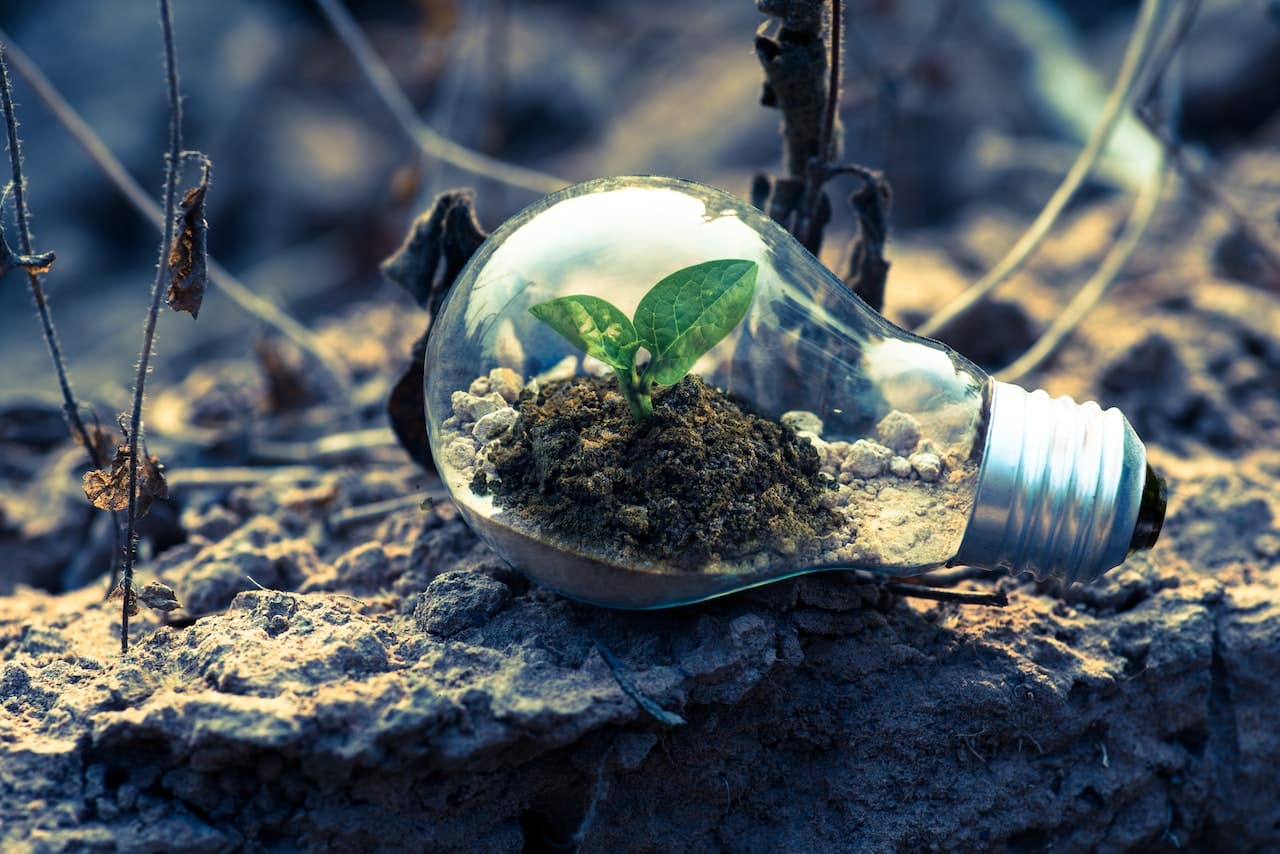 Chile quiere regular el "greenwashing" en proyecto cuestionado por expertos