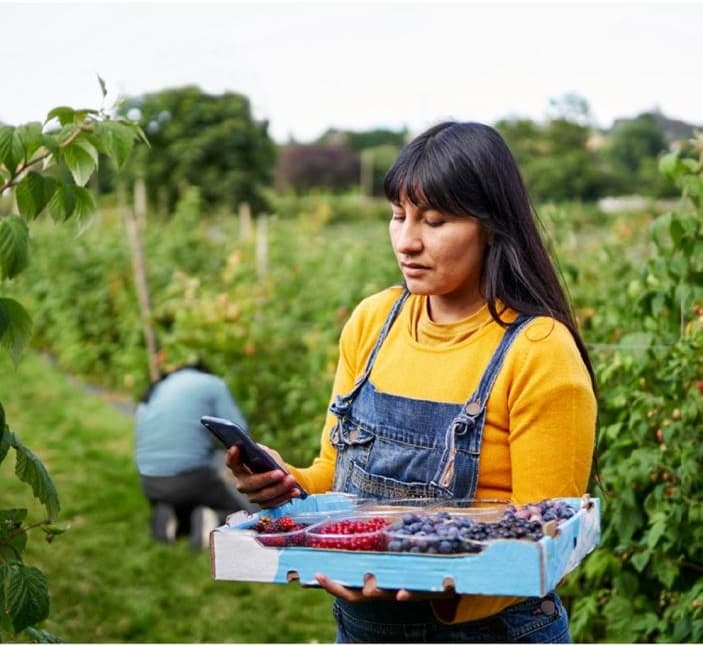 Conectividad rural a internet mejoró en Latinoamérica en 2022, pero la brecha con las ciudades persiste