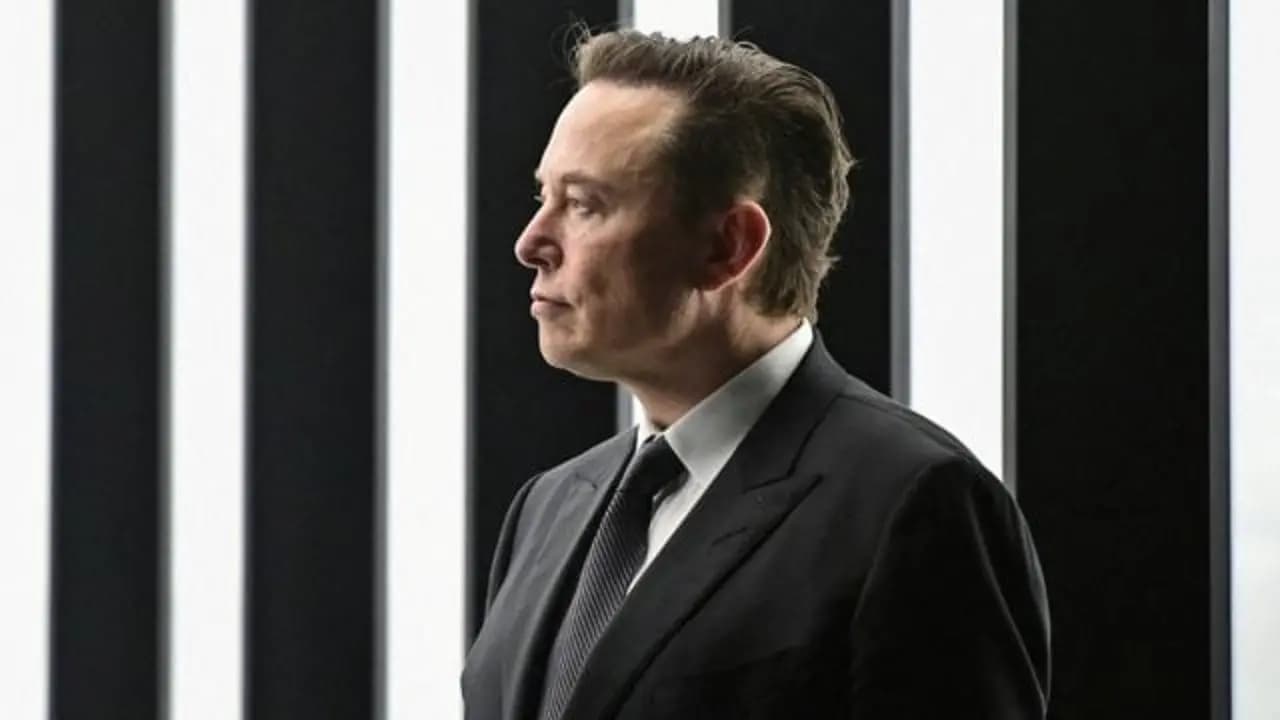 Elon Musk ha despedido al 80% del personal de Twitter, según documentos internos