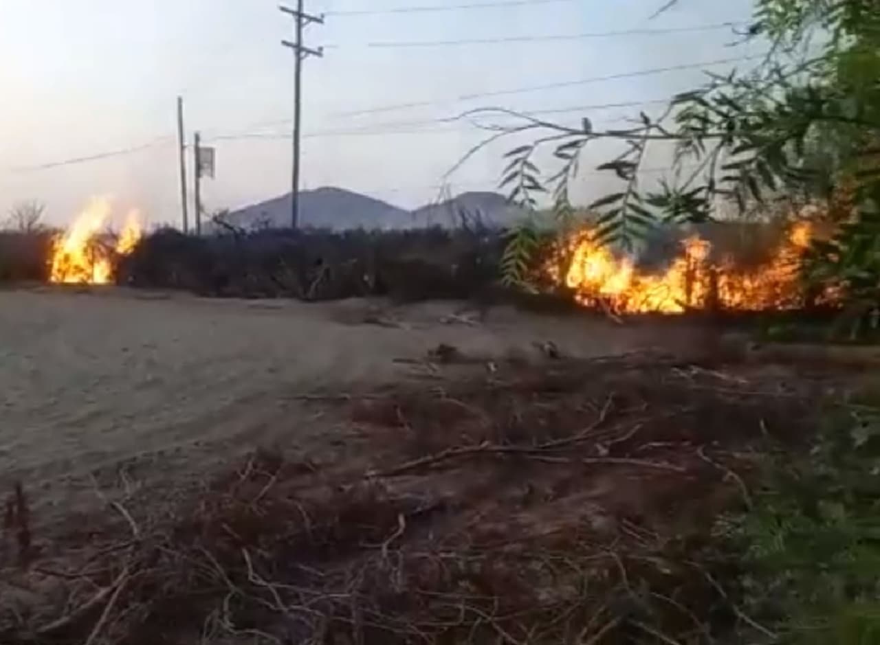 Protestas en Perú: manifestantes atacan fundos agroexportadores en Ica