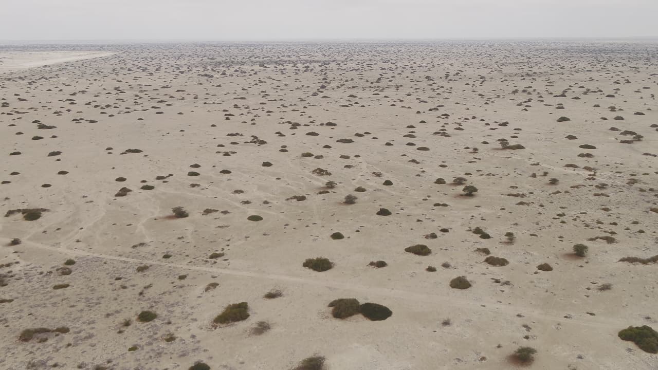 La gigante europea Statkraft adquirió un proyecto solar y otro eólico en Perú
