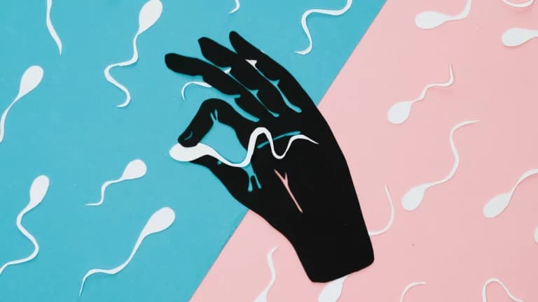Anticonceptivo masculino tiene resultados prometedores en pruebas en ratones