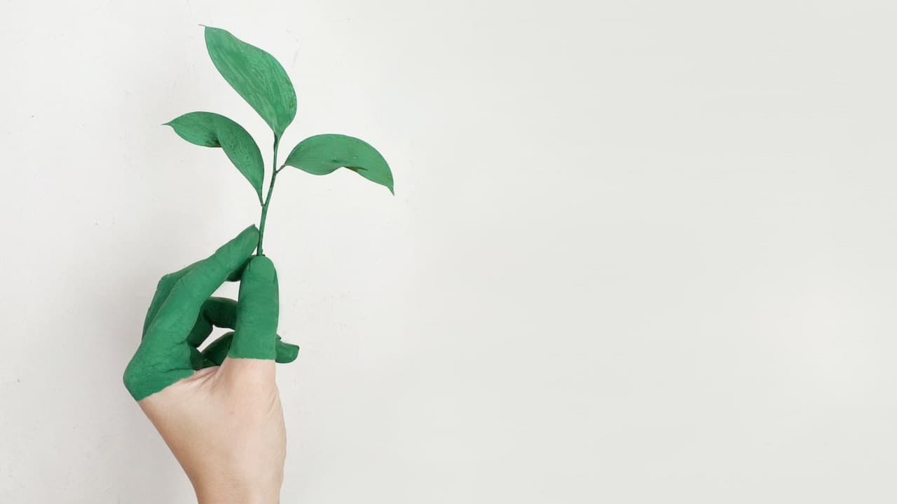 Las grandes corporaciones siguen contaminando pese a sus promesas climáticas