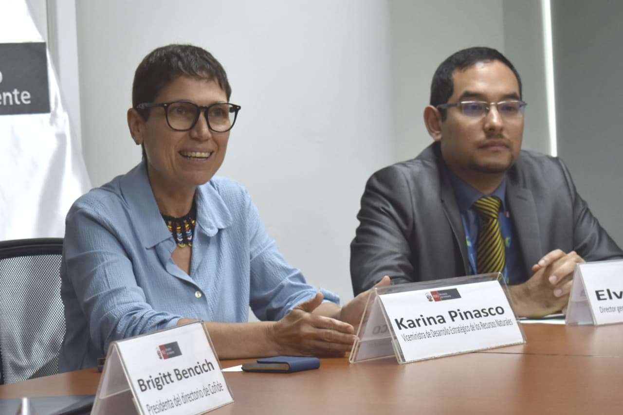 Viceministra de Ambiente renunció tras denuncia de favorecer a ONG de su familia