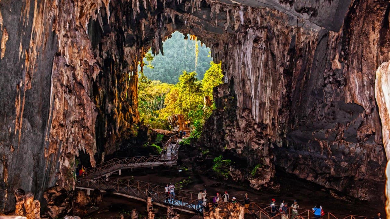 Parque Nacional Tingo María destino sostenible