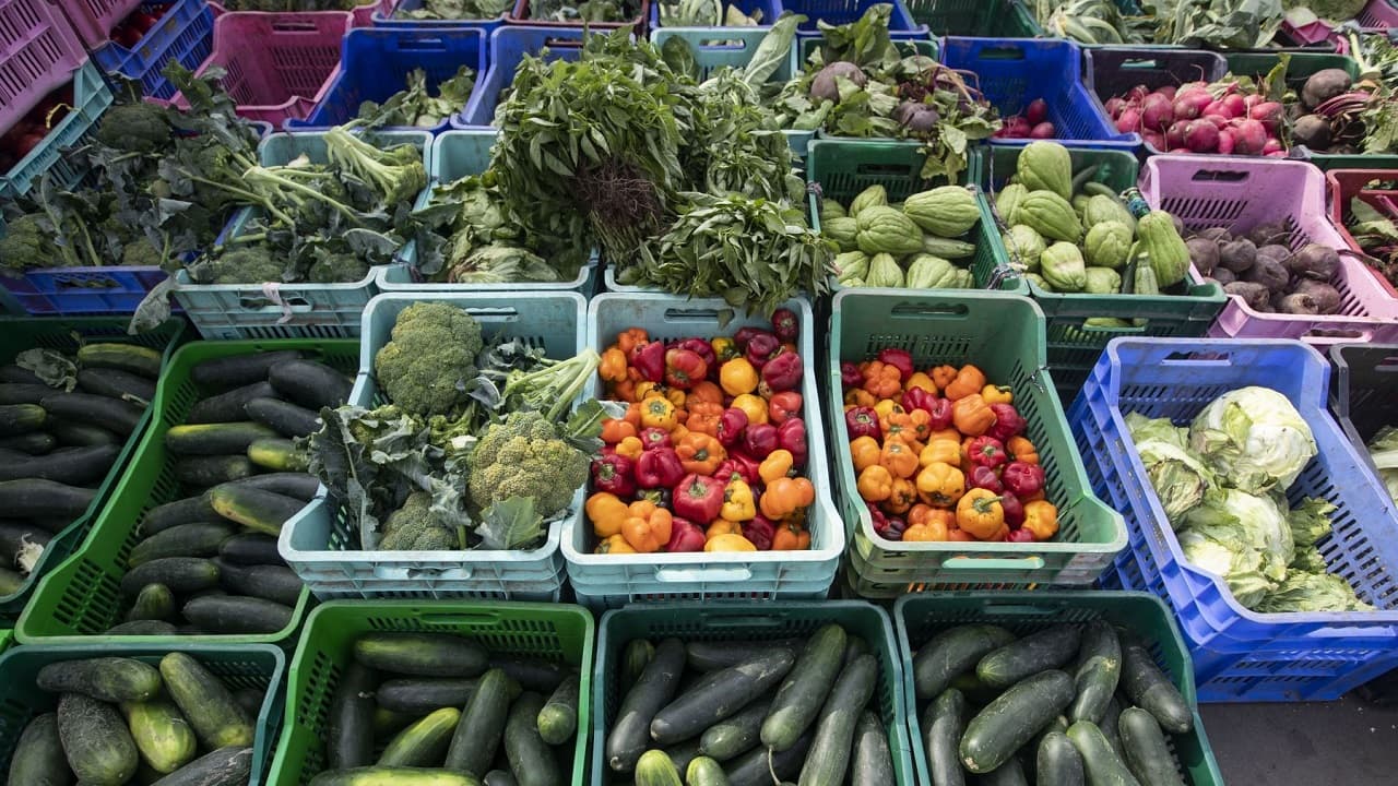 Ingreso de peruanos pobres no cubre canasta alimenticia, que subió un 23 %