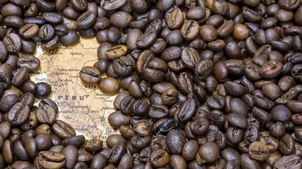 Sudamérica lidera la producción de café pese a su mayor caída en 20 años