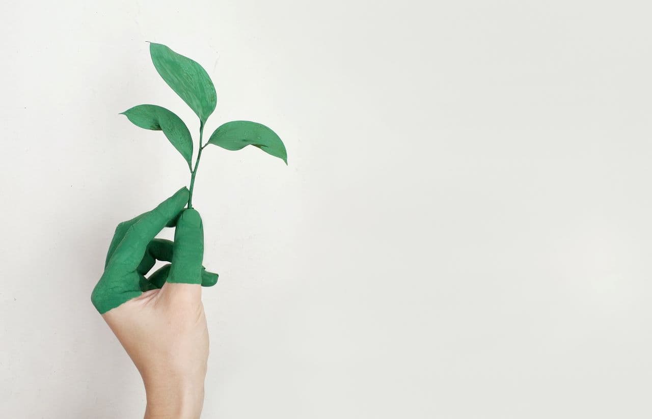 Criterios ESG: un nuevo ADN organizacional que gana terreno en Perú