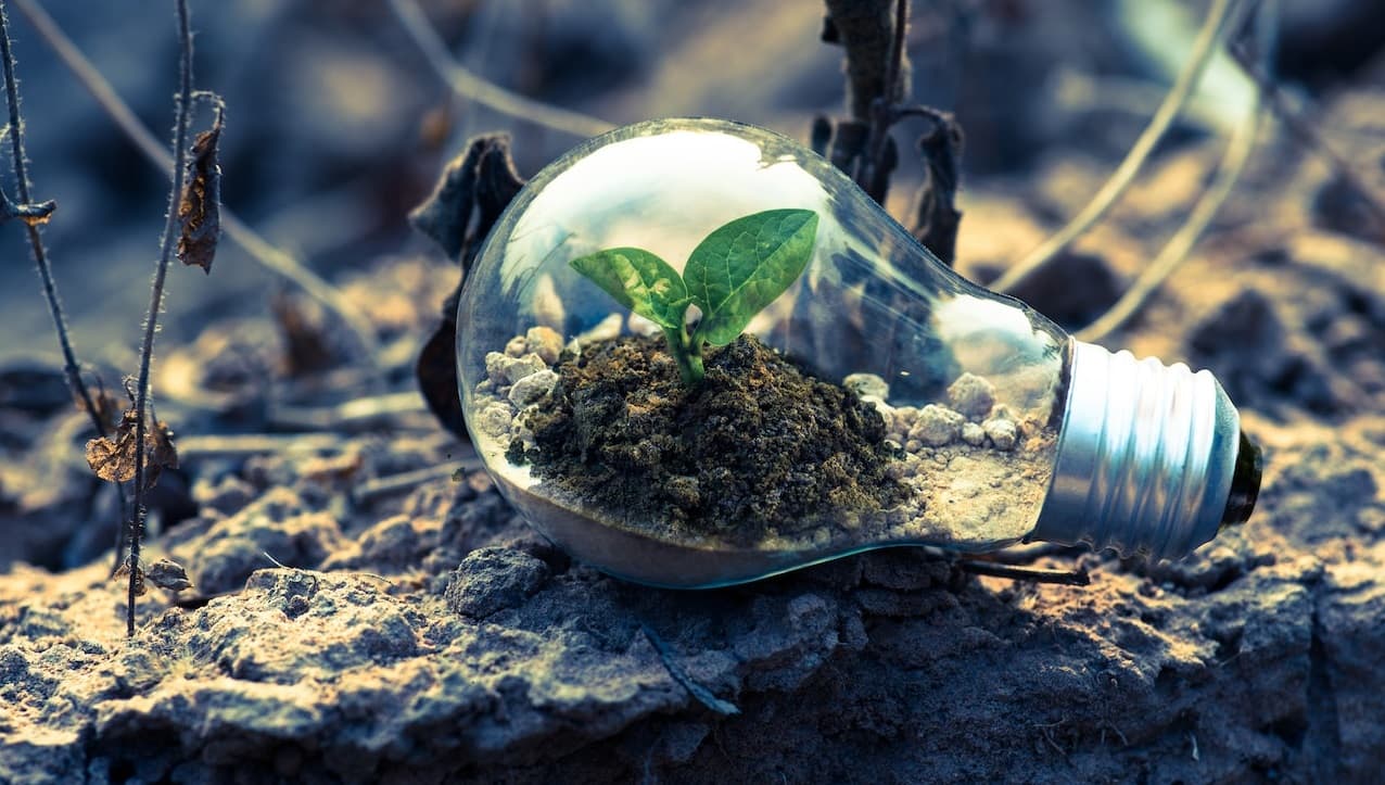 Perú aprueba una "hoja de ruta" para acelerar el tránsito hacia una economía verde