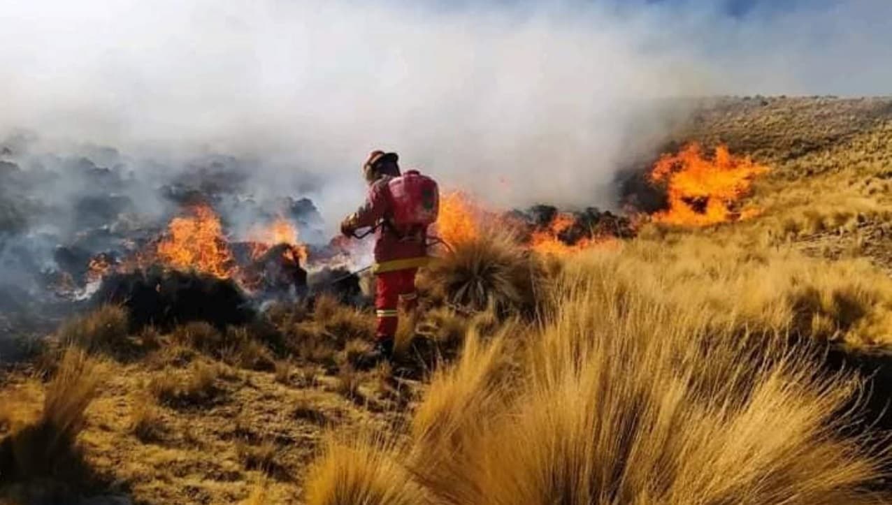 Incendios forestales en Perú afectan regiones de Arequipa, Cuzco y Huancavelica