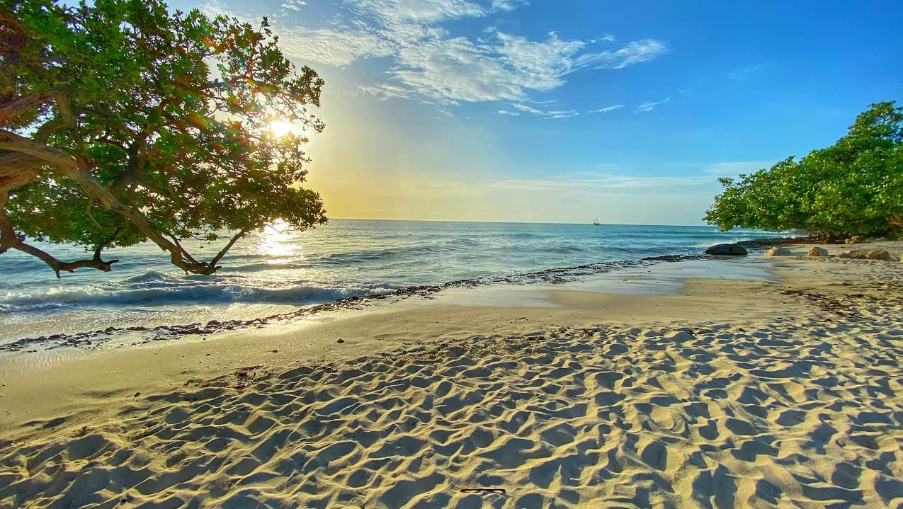 Aruba, la isla feliz que enseña e inspira con el ejemplo