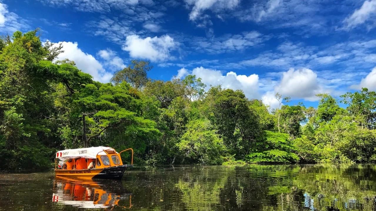 Perú canjea casi 20 millones de dólares de deuda con EE.UU por conservación de bosques