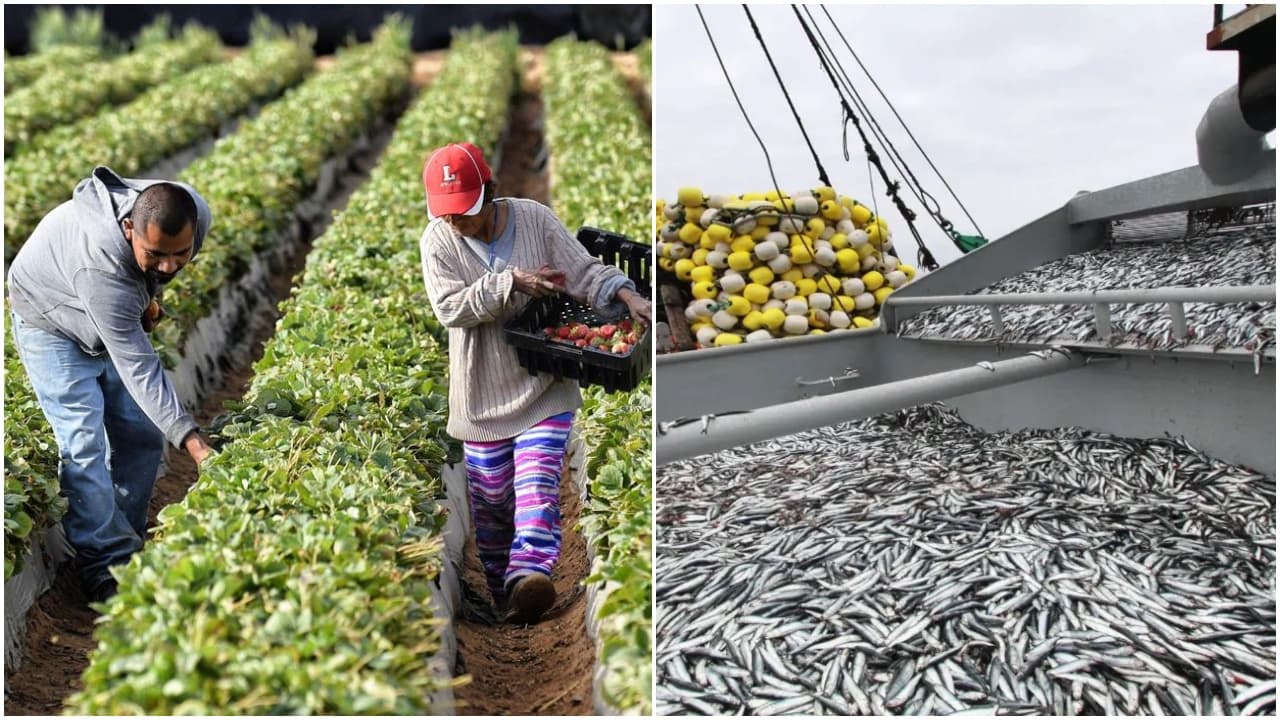 Perú suma cuatro meses consecutivos de caída en agosto, reportó INEI