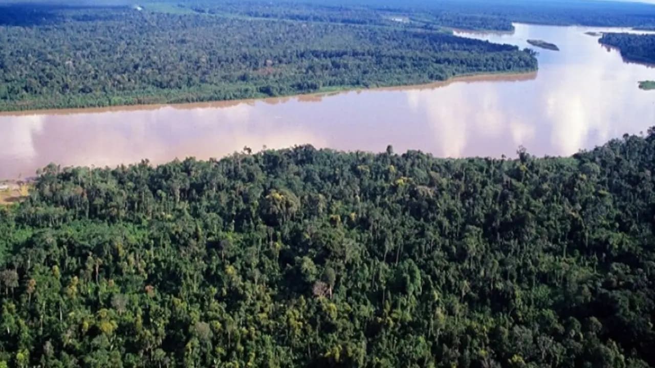 El Gobierno incrementará incentivos económicos para comunidades nativas que conservan bosques