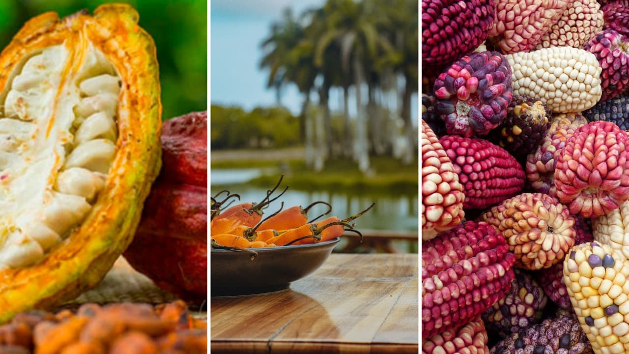 gastronomía peruana cocinas tradicionales