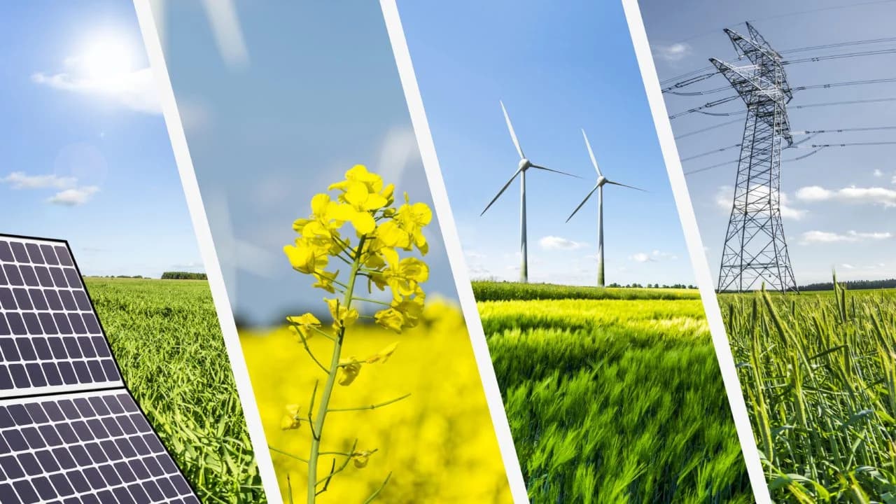 Energías limpias demandan millones de empleos; preocupa escasez de talento