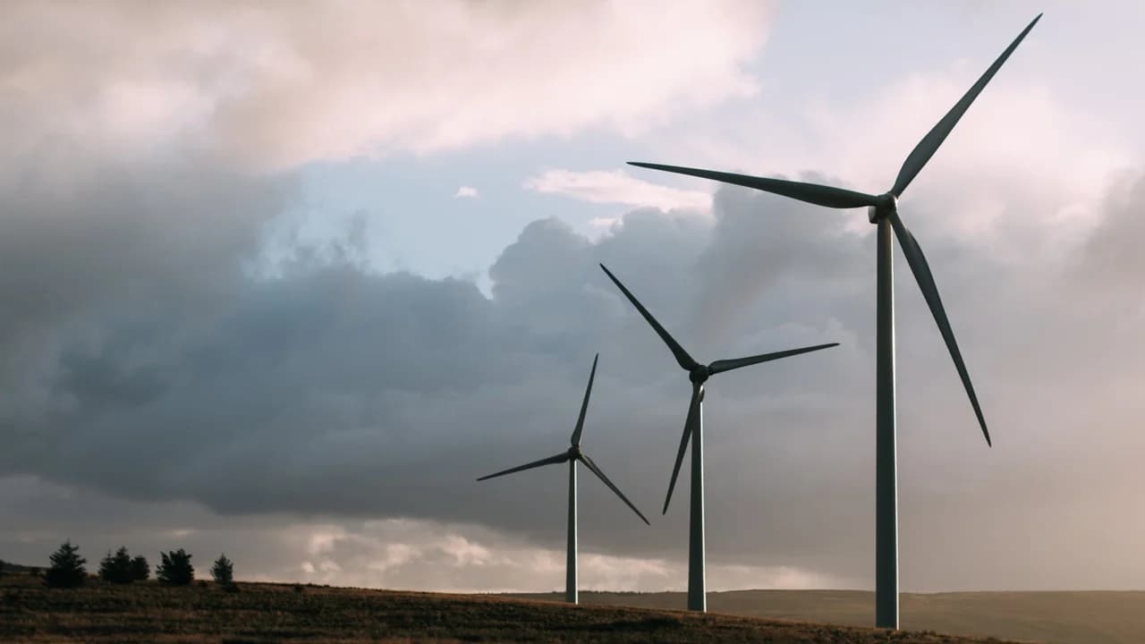 Energías renovables superarán al carbón en 2025 como la principal fuente de electricidad