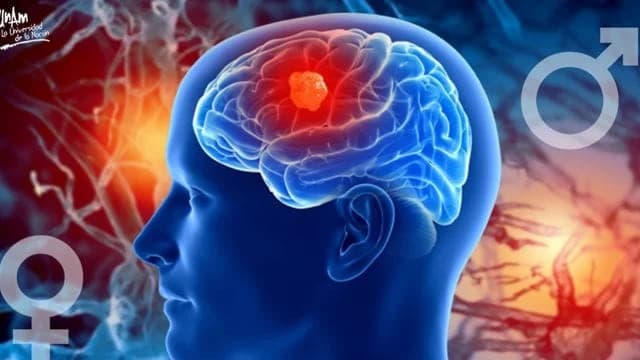 Dos productos químicos comunes en el hogar son vinculados a enfermedades cerebrales