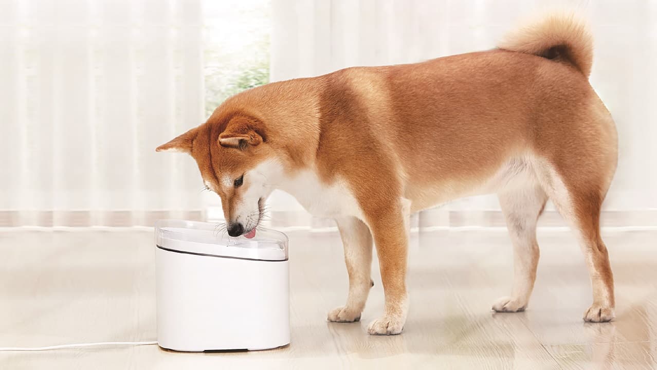 Xiaomi Smart Pet Fountain