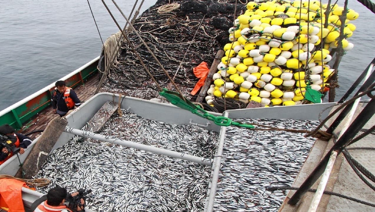 pesca