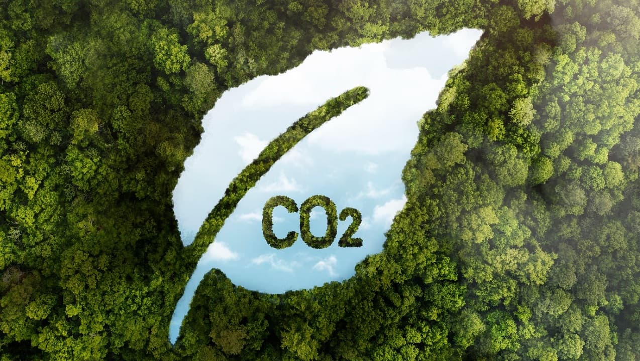 UNA CARRERA CLIMÁTICA