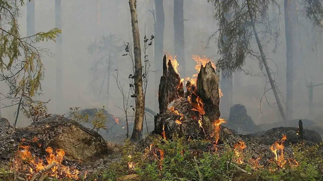 El 80% de la población mundial pide más acción climática gubernamental: encuesta de la ONU
