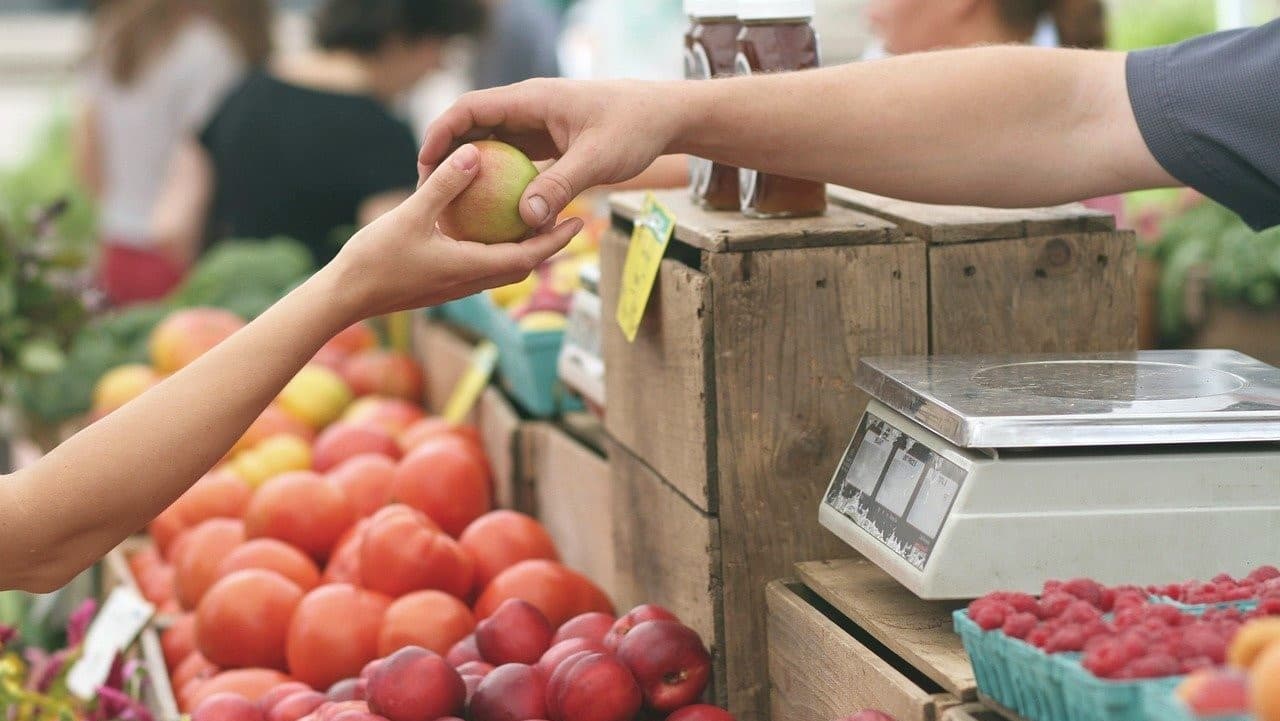 ¿Cómo la guerra en Ucrania puede afectar seguridad alimentaria global?