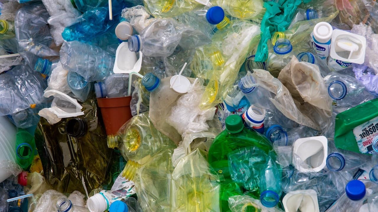 Consumo de plástico se ha cuadriplicado durante los últimos 30 años, según la OCDE