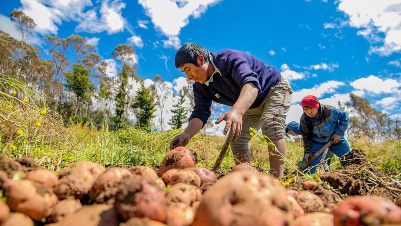 Expertos piden a Latinoamérica más inversión tecnológica para agricultura