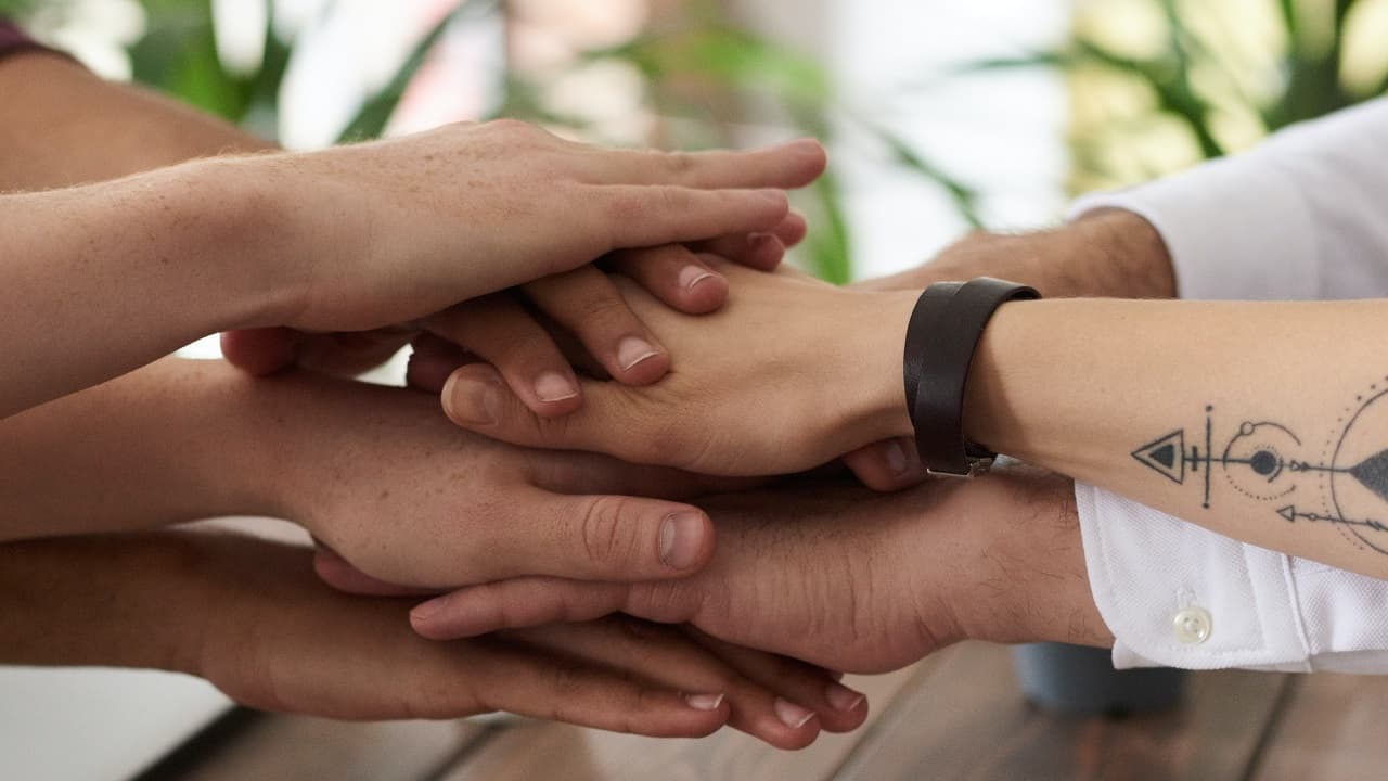 Resiliencia organizacional para tiempos turbulentos
