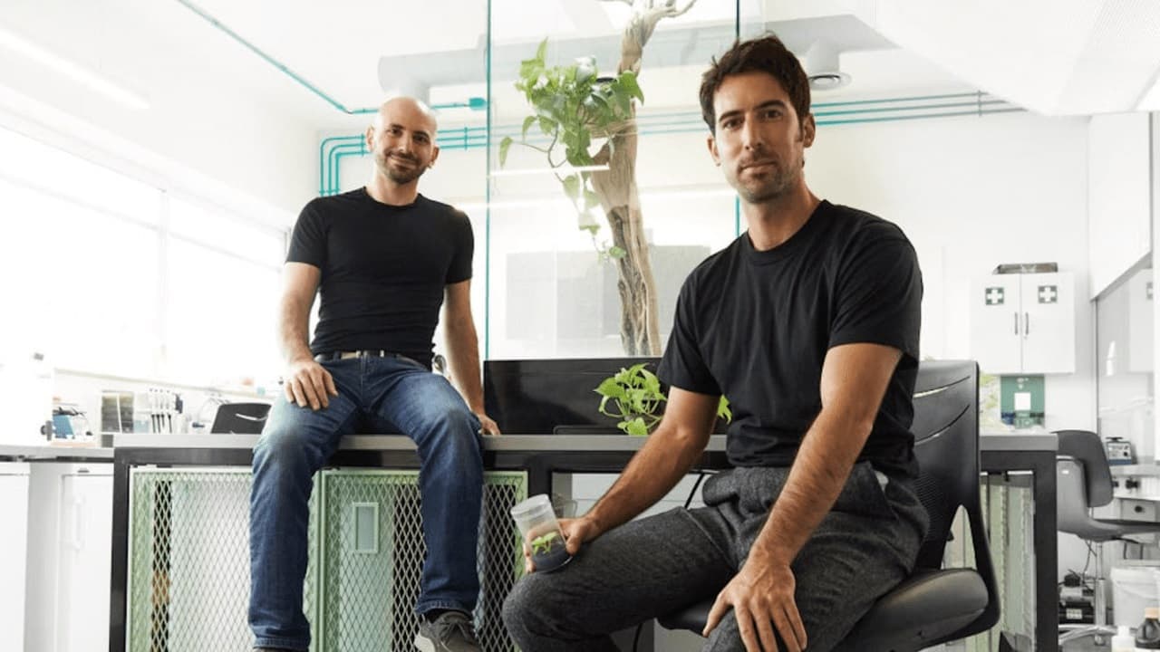 Conoce a los emprendedores que diseñaron planta de interior que elimina la contaminación