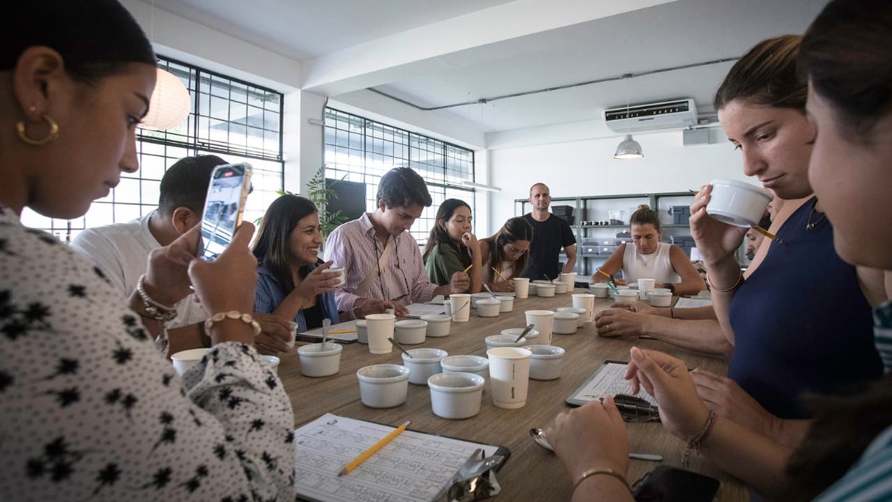 Punto Café: una propuesta enfocada en experiencias, la cadena de valor y la innovación